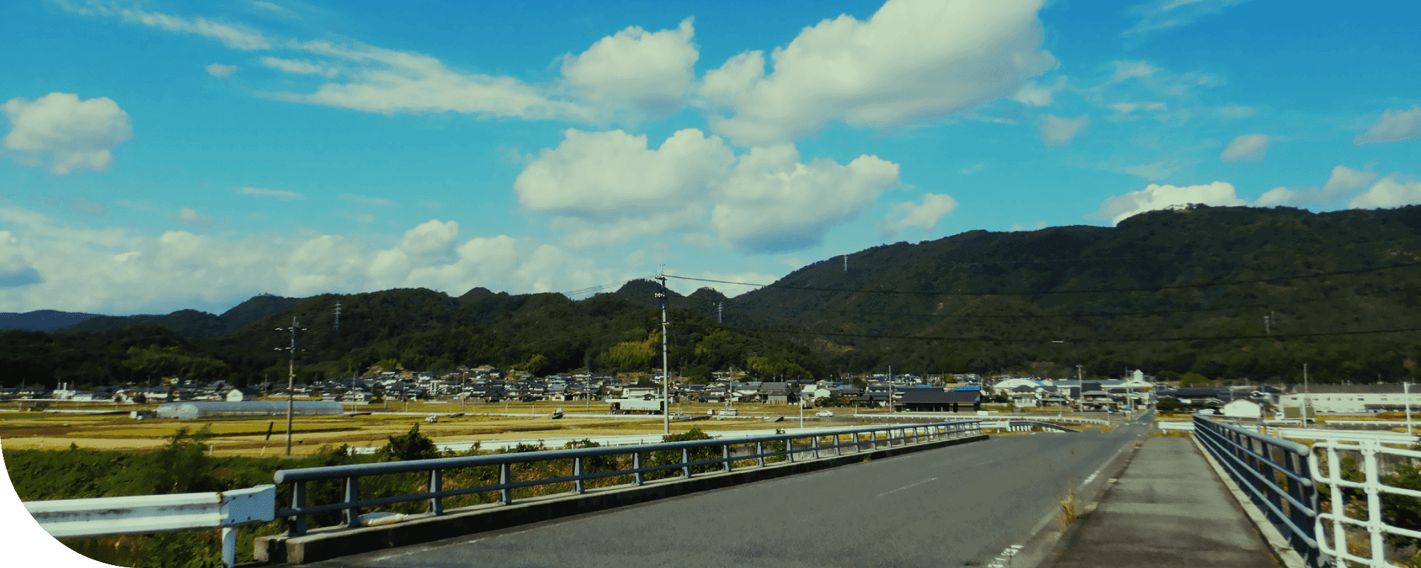 事業内容の画像